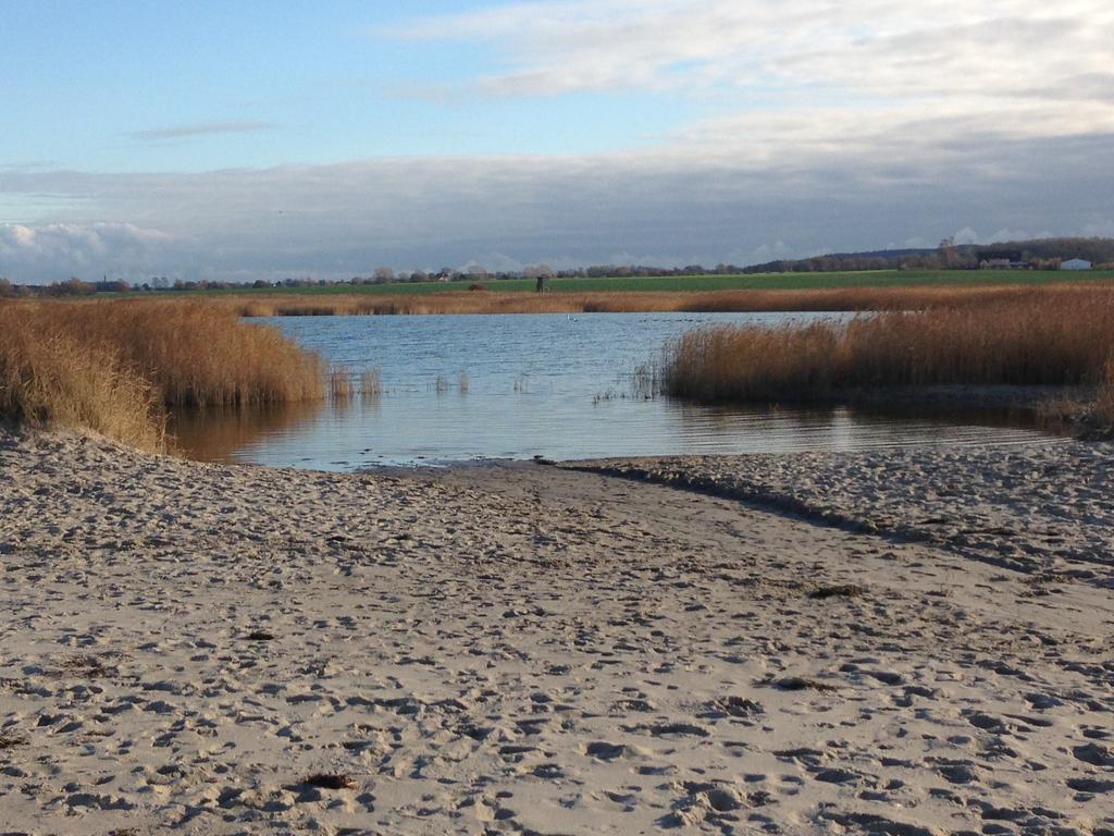 Ferienwohnung Nr 5 Am Weststrand - 4 Sterne Dtv Ostseebad Kühlungsborn Exteriör bild